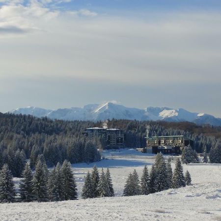 Dor Apartment Poiana Brasov Eksteriør bilde