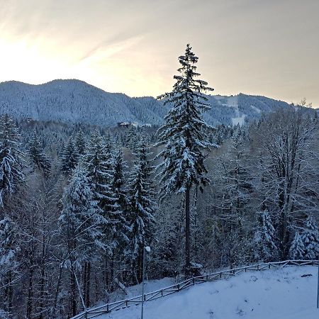 Dor Apartment Poiana Brasov Eksteriør bilde