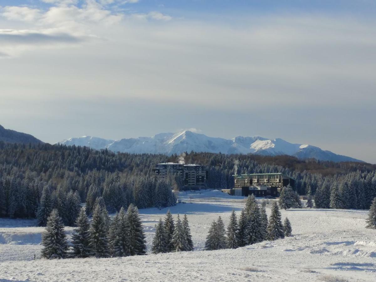 Dor Apartment Poiana Brasov Eksteriør bilde