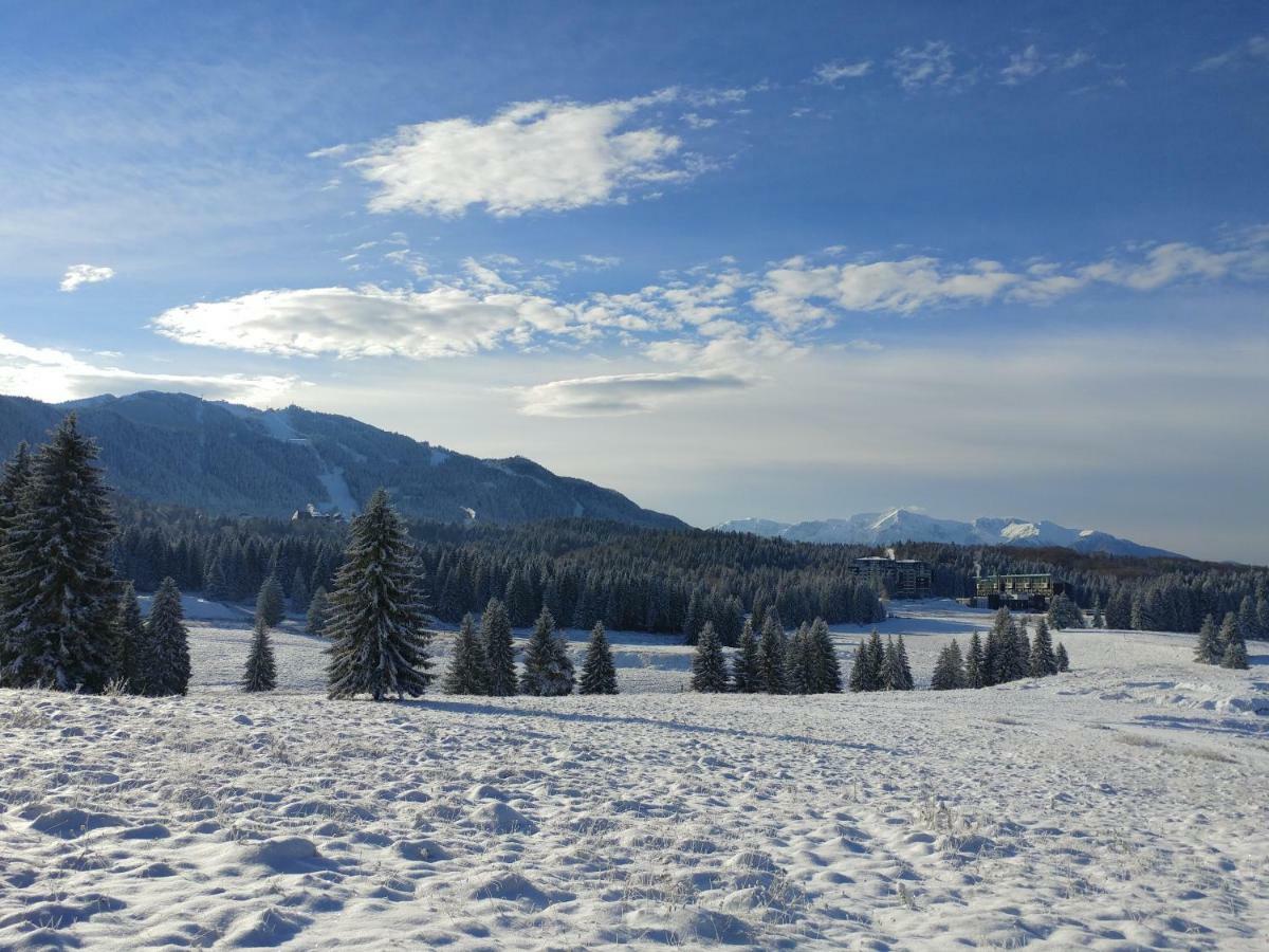 Dor Apartment Poiana Brasov Eksteriør bilde