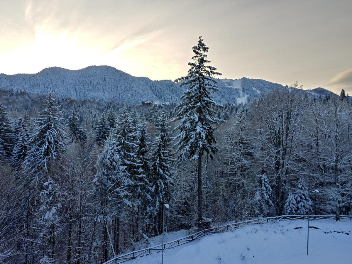 Dor Apartment Poiana Brasov Eksteriør bilde